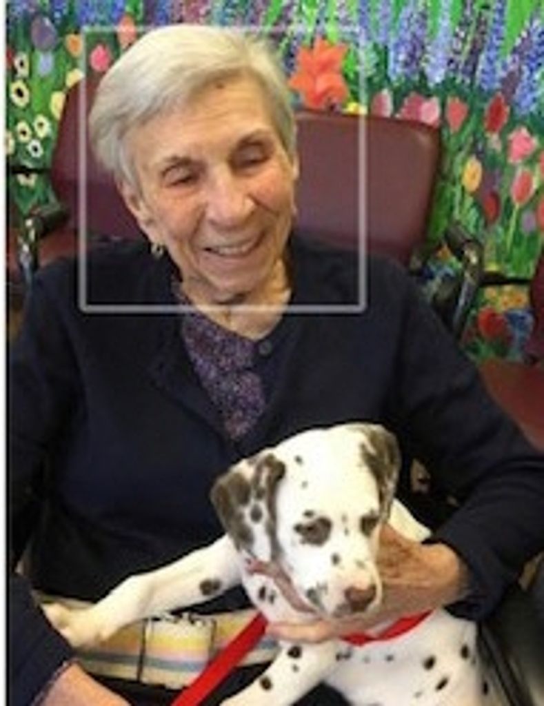 Etelle Meltzer Profile Photo