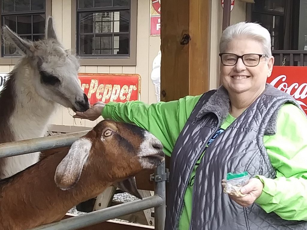 Virginia Westover Profile Photo