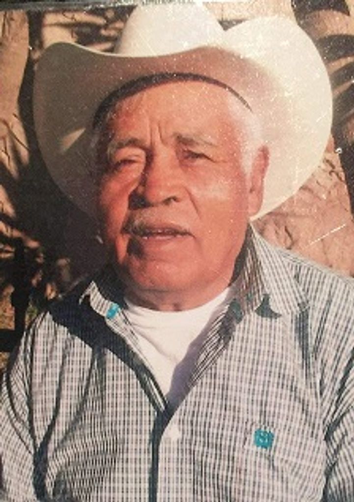 Francisco Mena Gonzalez