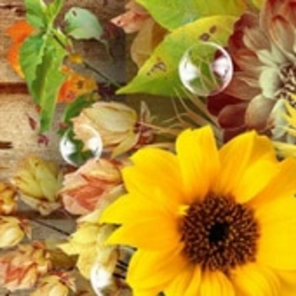 Mandie Marie Stavely