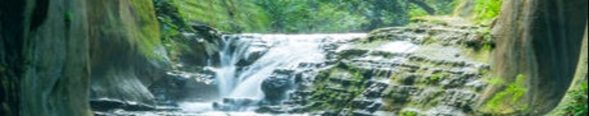 Cover photo for Charlene "Char" Mae Begay's Obituary