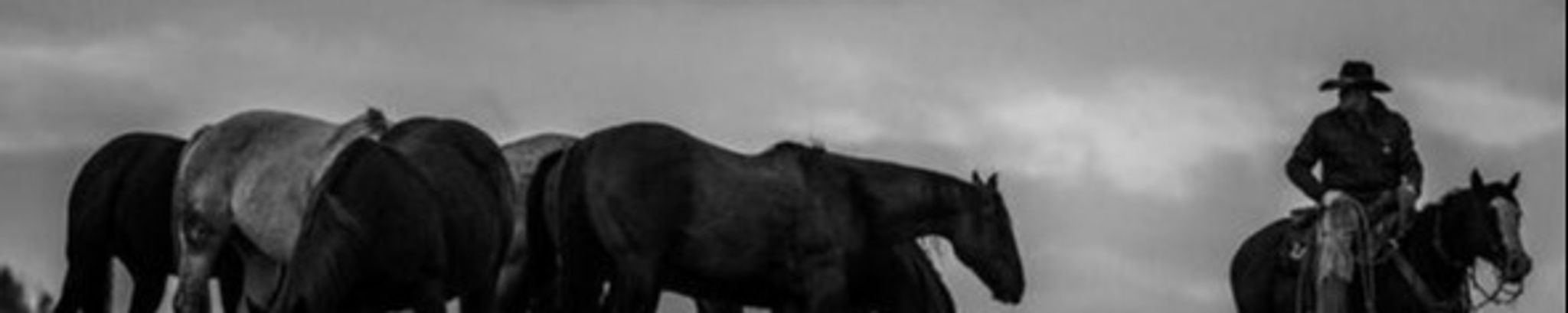 Cover photo for Marshall Wayne Hardin's Obituary