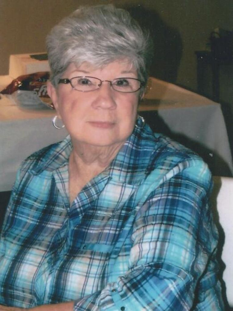 Sandra Sue (Mcglaughlin)  Pointer