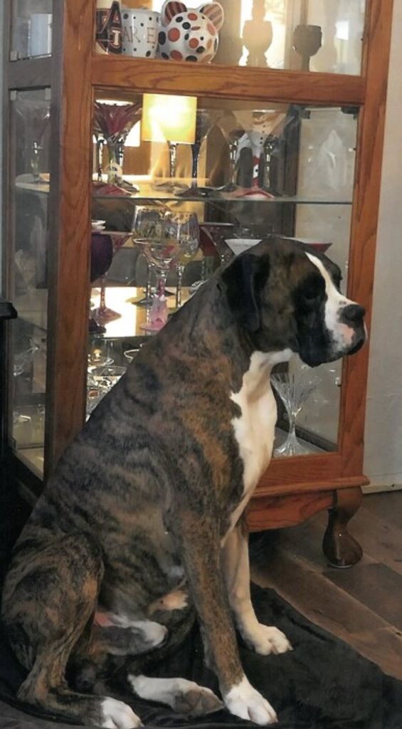 Tyson Thompson Profile Photo