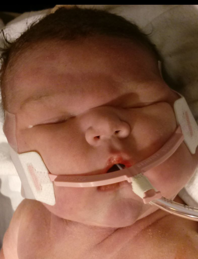 Oaklynn Paige Sturgill Profile Photo