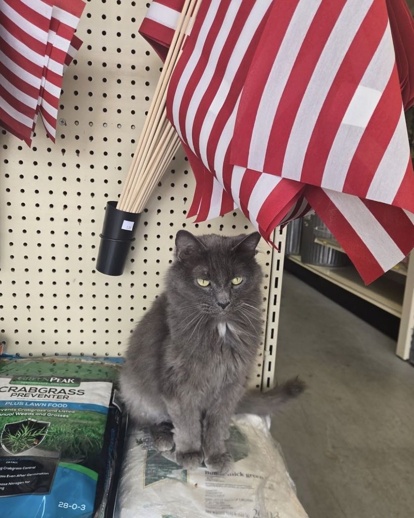 Miss Value Profile Photo