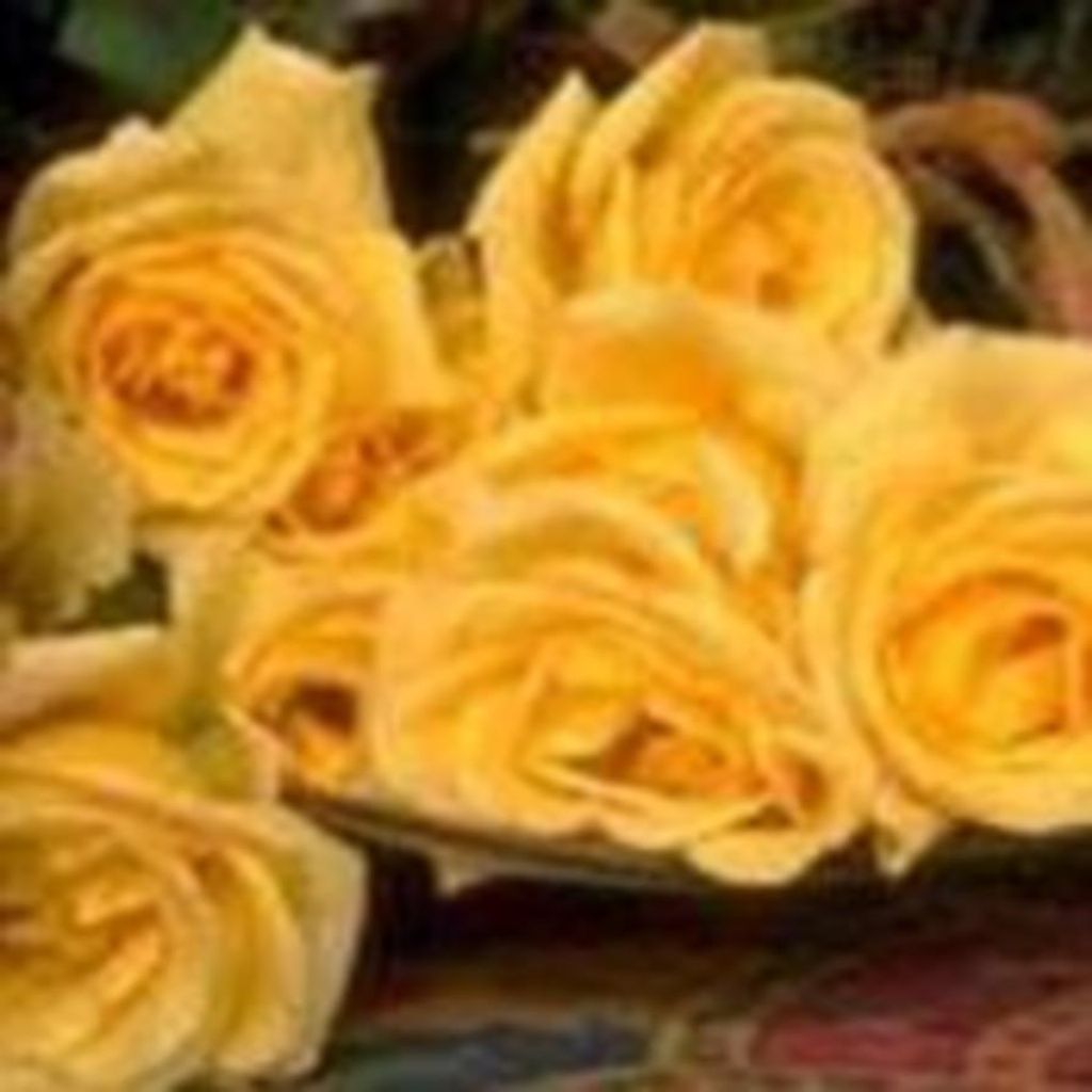 Joann Williams Higginbotham