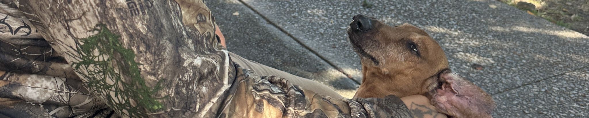 Cover for Oscar Robinson's Obituary