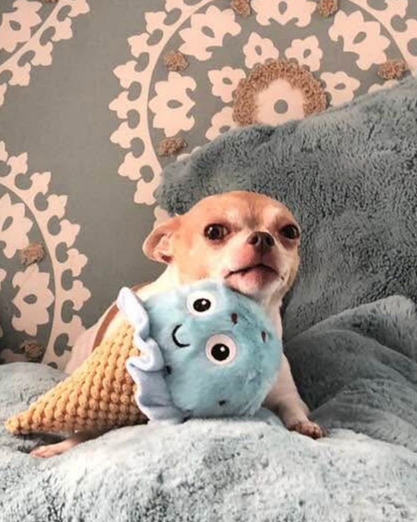 Honey "Piglet" Grayson Profile Photo