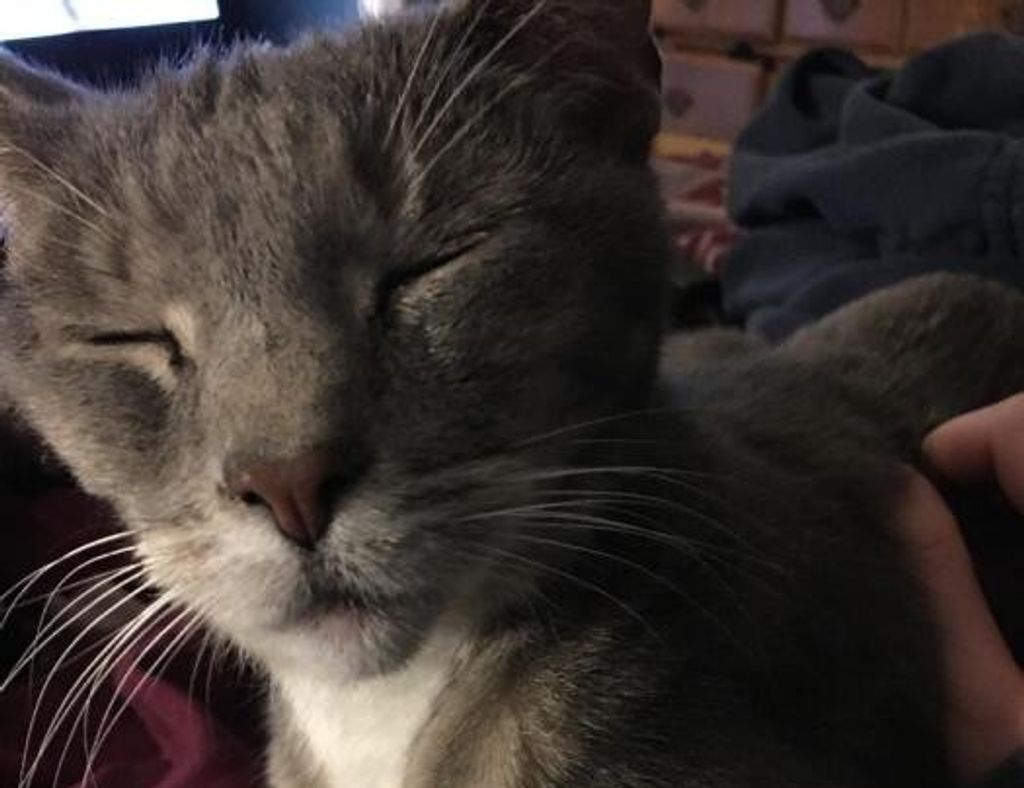 Pepper Marshall