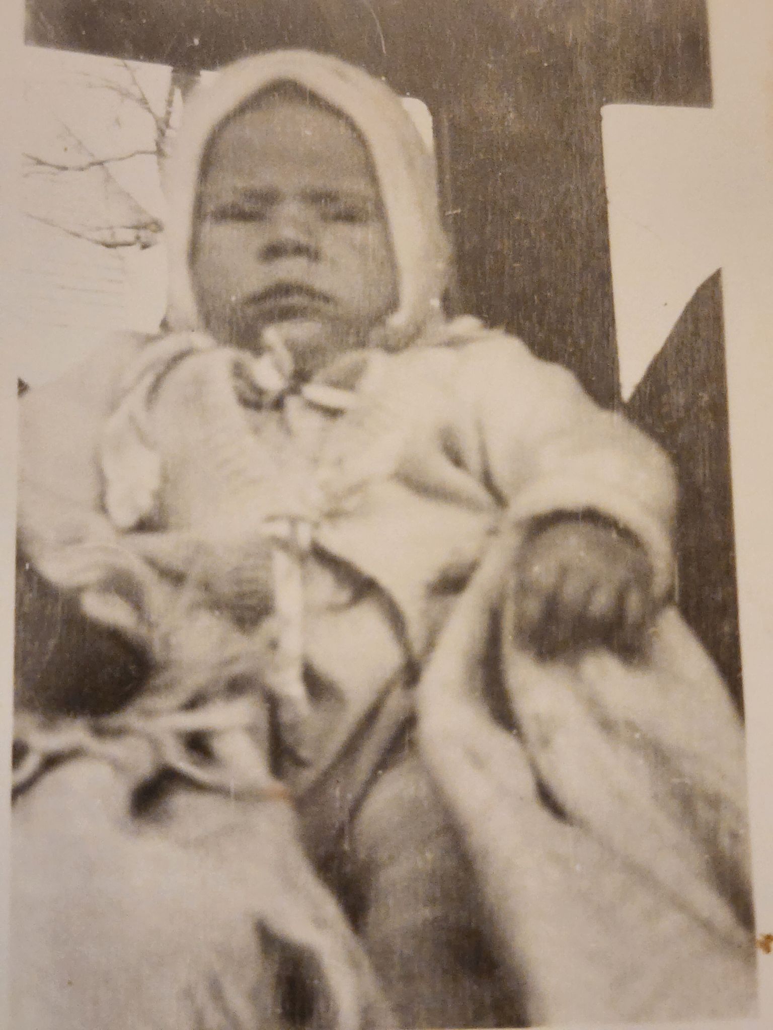 Ronald Merle Paine photo gallery image 2 of 91