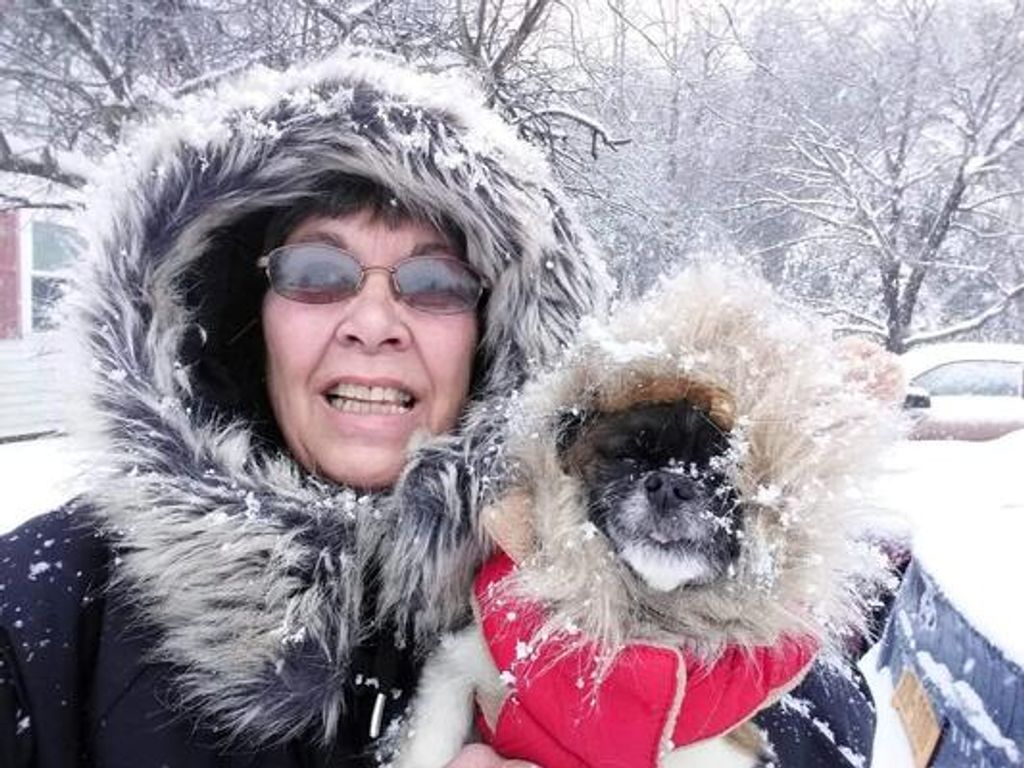 Joan Ann Perrotte Profile Photo