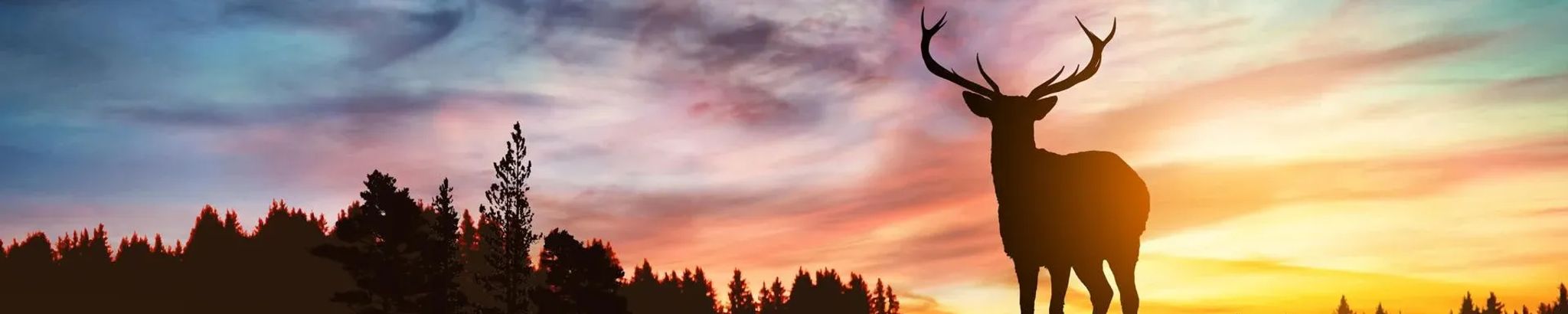 Cover photo for Gerald Everett Merrill's Obituary
