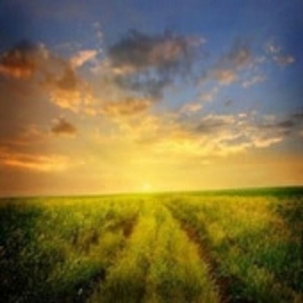 Roger Allen Hardman Ii