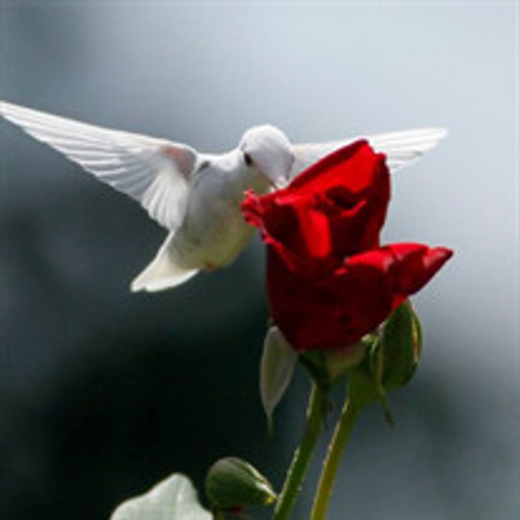 Mary "Jeanne" R. Beller