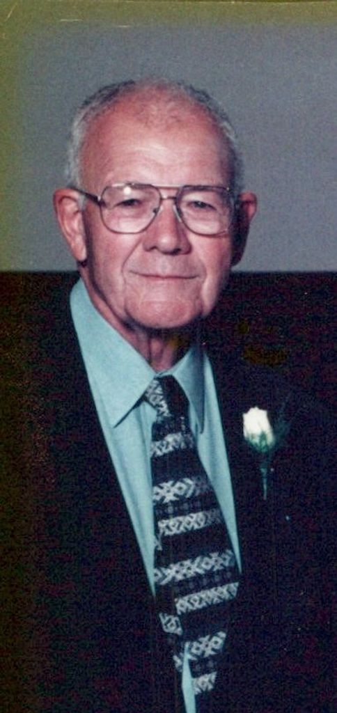 Nistor Potcova Jr. Profile Photo