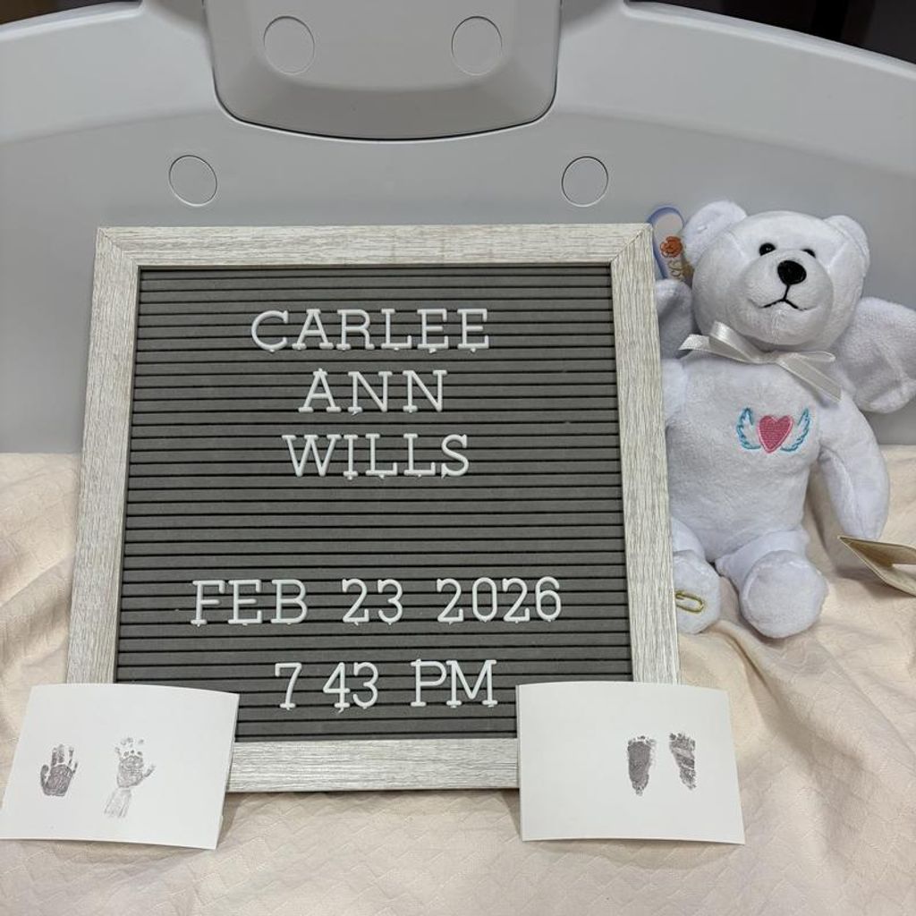 Carlee Ann Wills Profile Photo