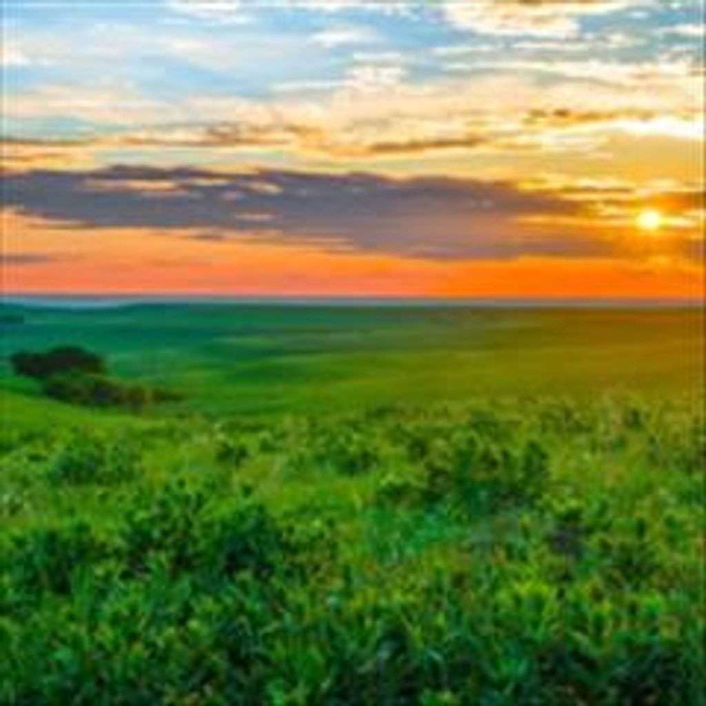 J. T. Deweese Profile Photo