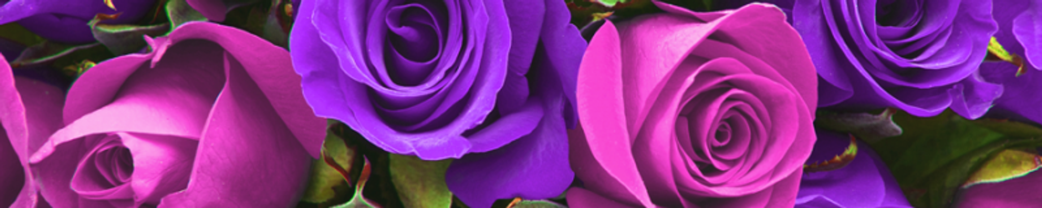 Cover for Beatrice Louise Trent's Obituary