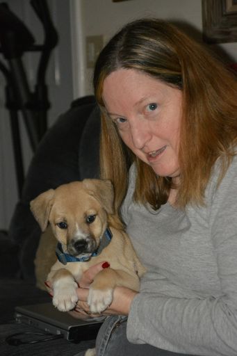 Denise Belflower Davidson Profile Photo