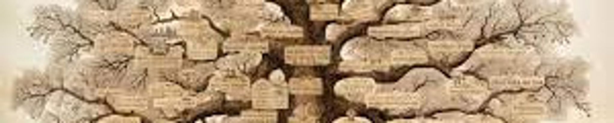 Cover for Frederica Jacobs Lofquist's Obituary