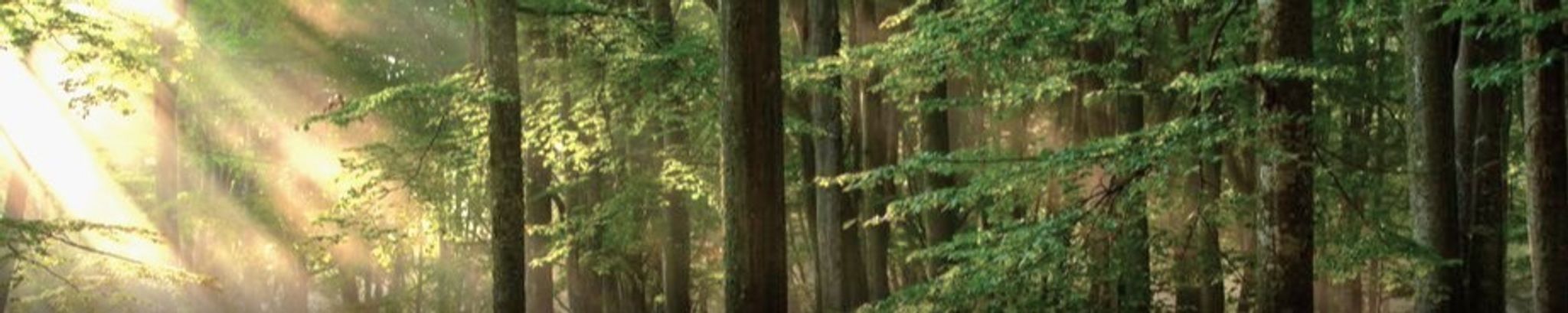 Cover for Carlos P. Garcia's Obituary