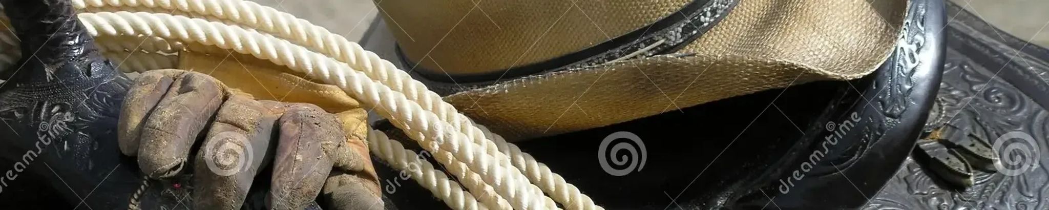 Cover for Joni J. Miller's Obituary