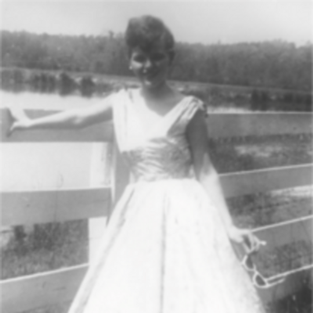 Janet Elizabeth Perugini