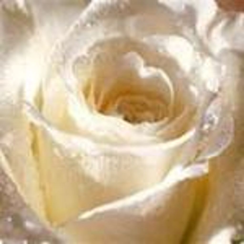 Betty Sue  (Hill)  Hamilton