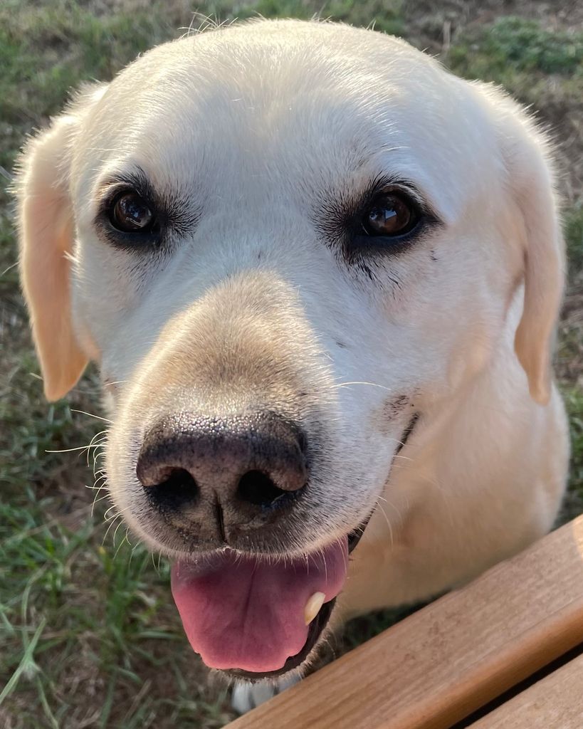 Sam Profile Photo