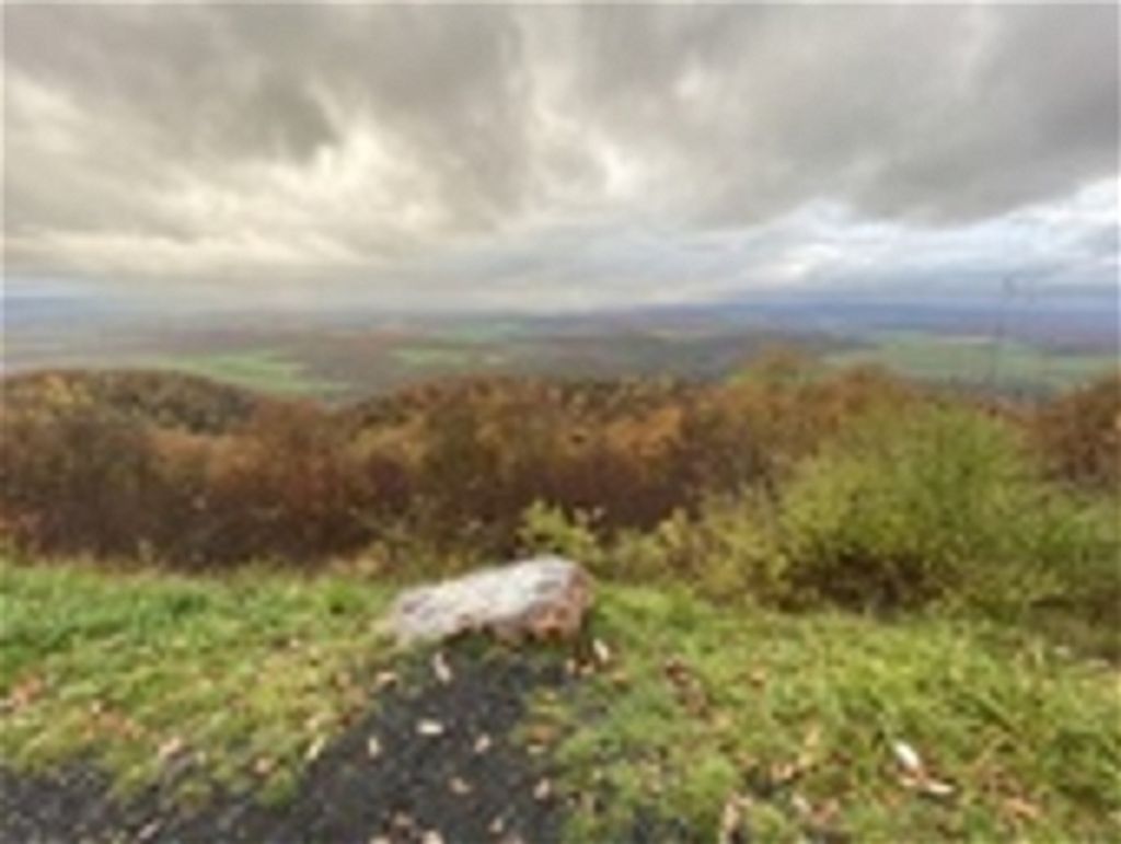 Bruce D. Bonta Profile Photo