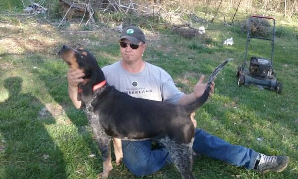 Matthew (J.D.) Hamilton Johnson