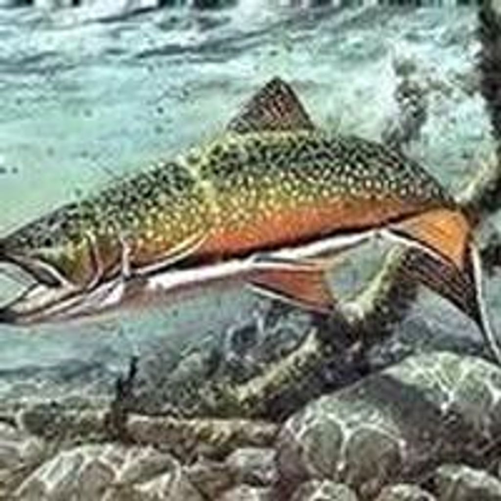 Franklin  Dale Mcmeans