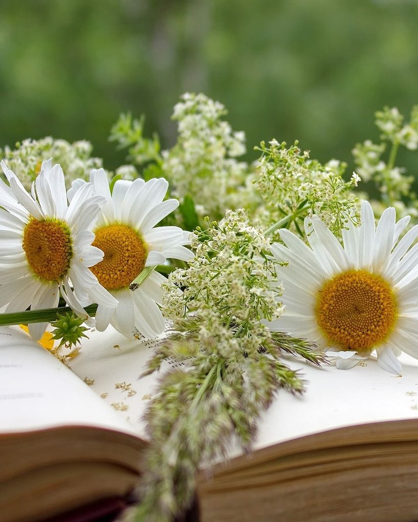 Christena May Campbell Profile Photo