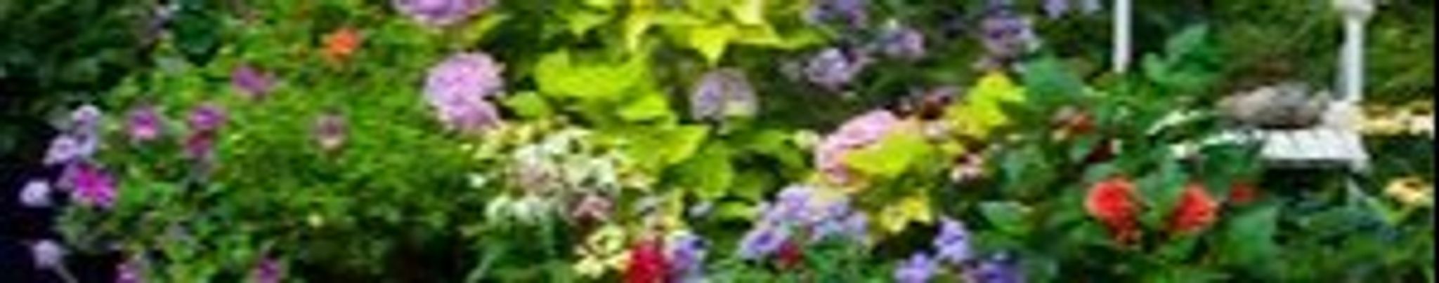 Cover photo for Angelita "Angie" Wiese's Obituary