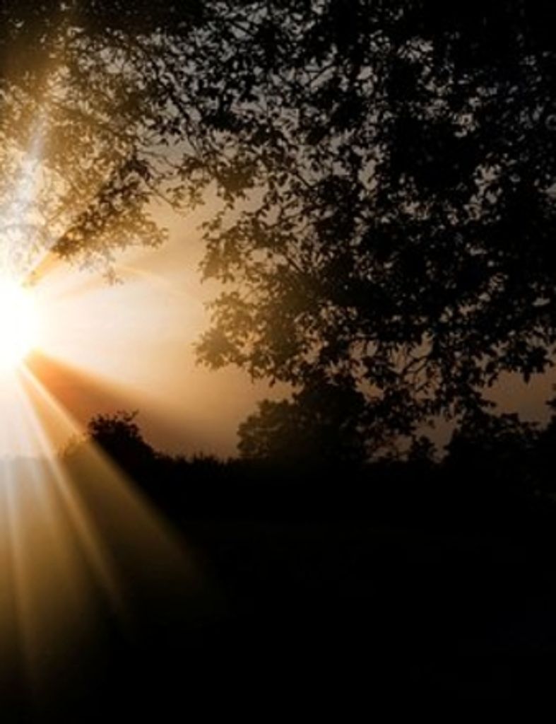 Michael David Dittman