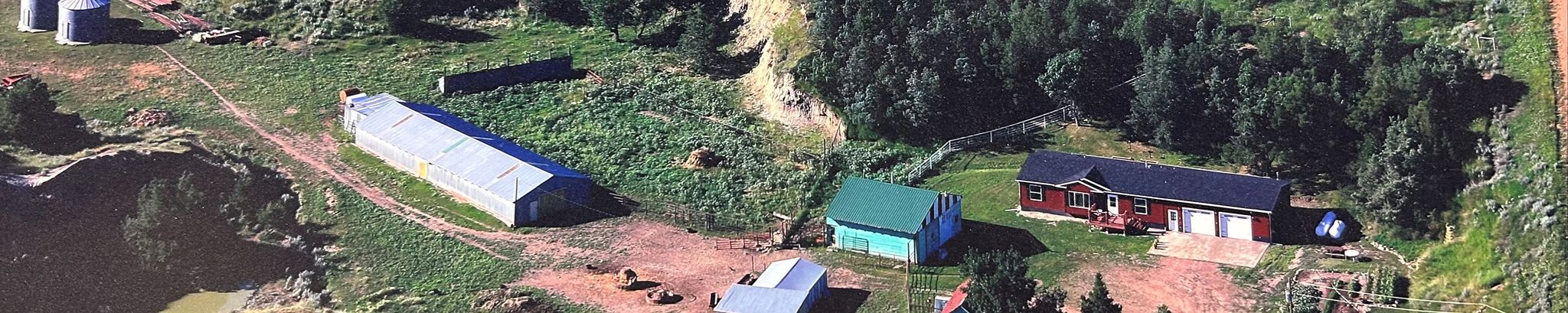 Cover for Nellie Rost's Obituary