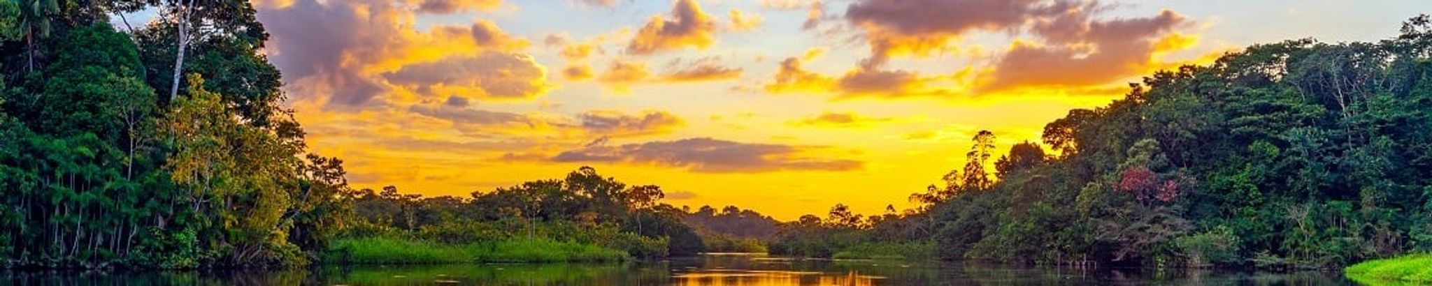 Cover for Joshua Neal McVey's Obituary