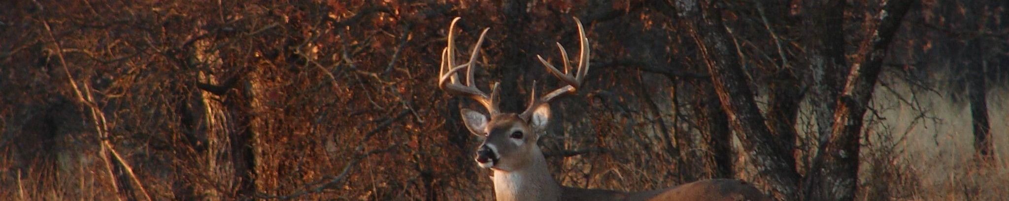 Cover photo for Adam D. Cooner's Obituary