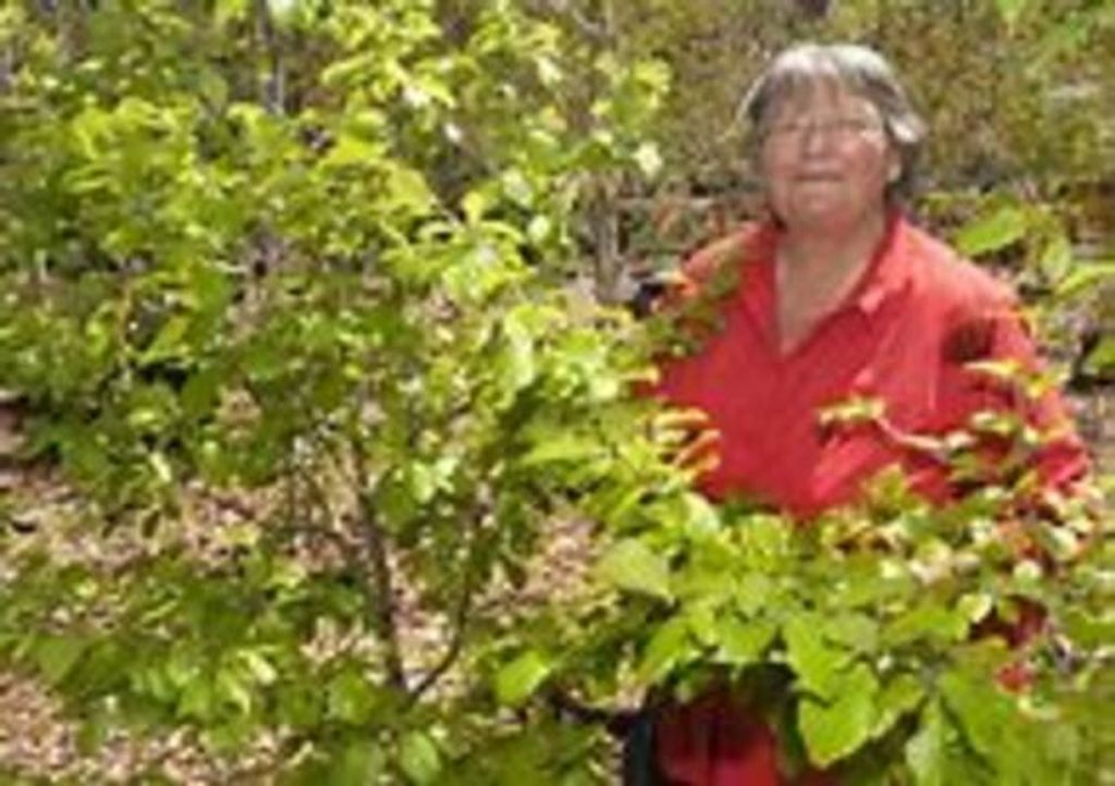 Nancee Kruescheck