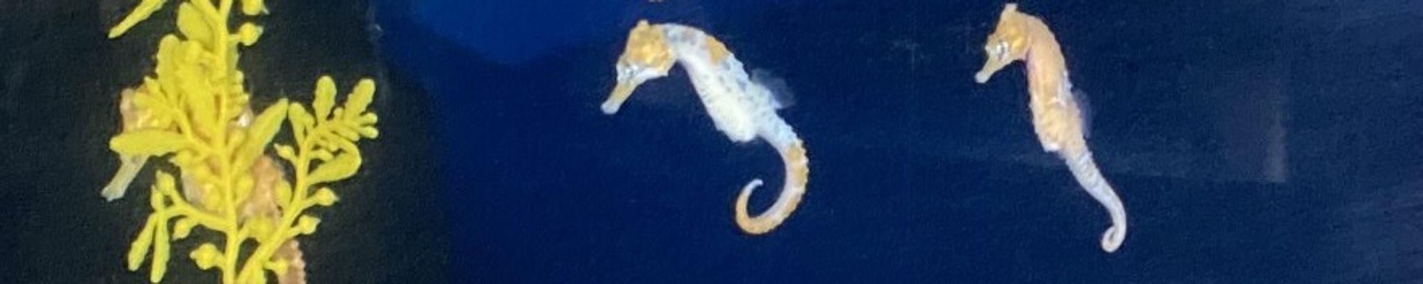 Cover for Diane Lagroix (née Cléroux)'s Obituary