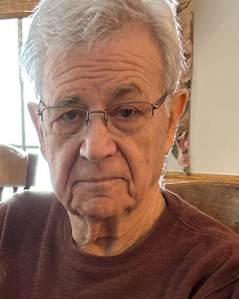 Dominic J Albanese Profile Photo