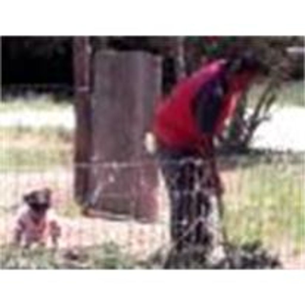 Tommy - Age 61 - Alcalde Diaz