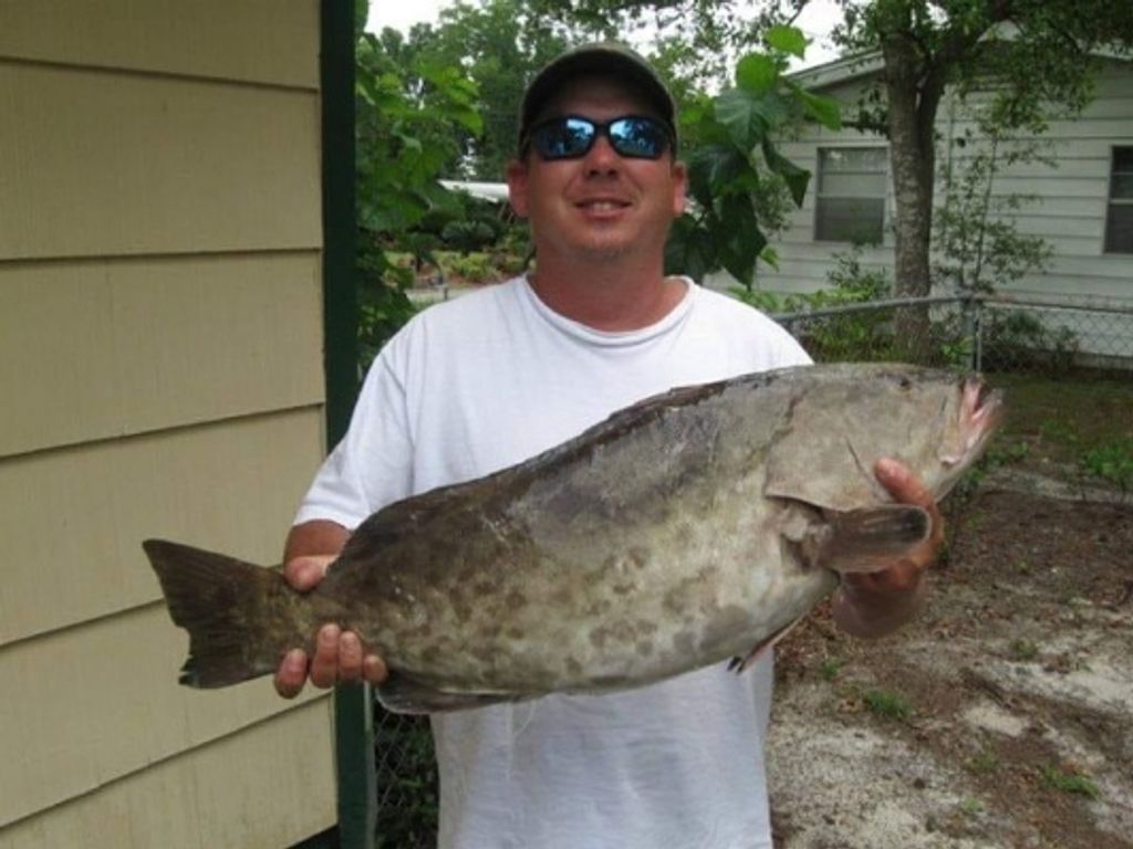 Charles "Chad" West Iii