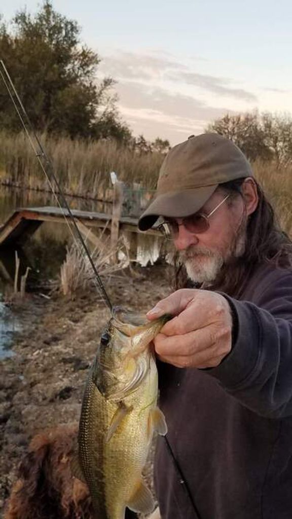 David D. Atkinson Profile Photo
