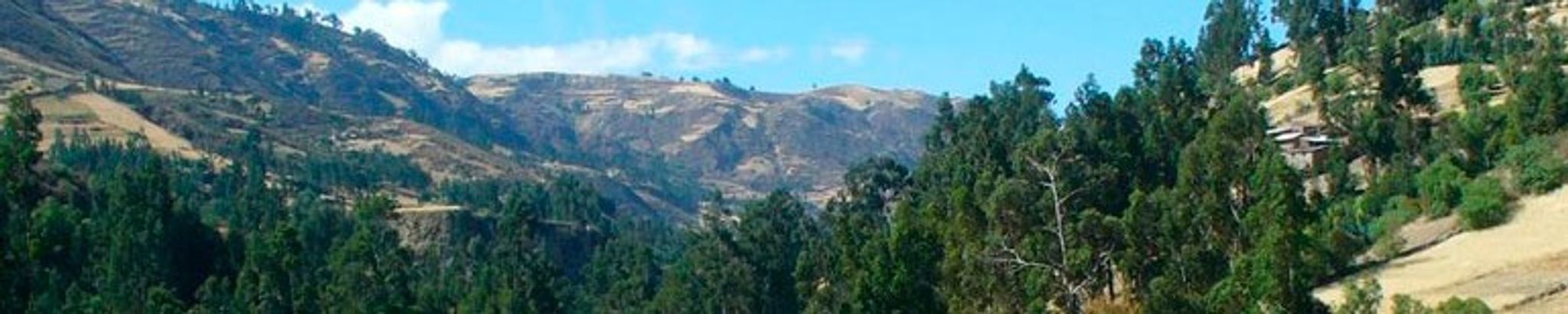Cover photo for Carlos Enrique Caceda's Obituary