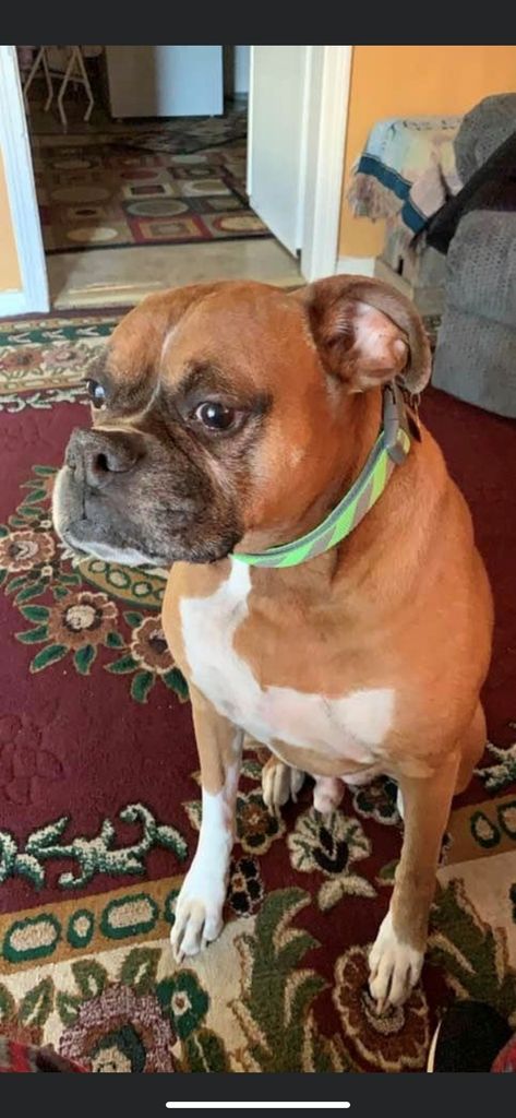 Harley Profile Photo