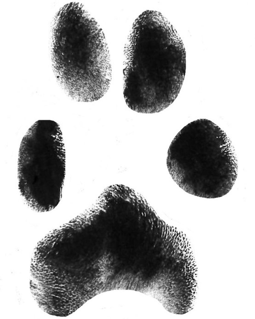 Jasper Roper Profile Photo