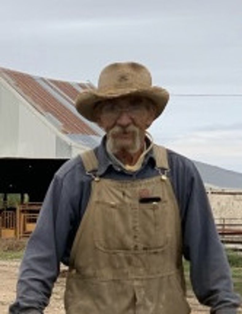 Bruce Lundt