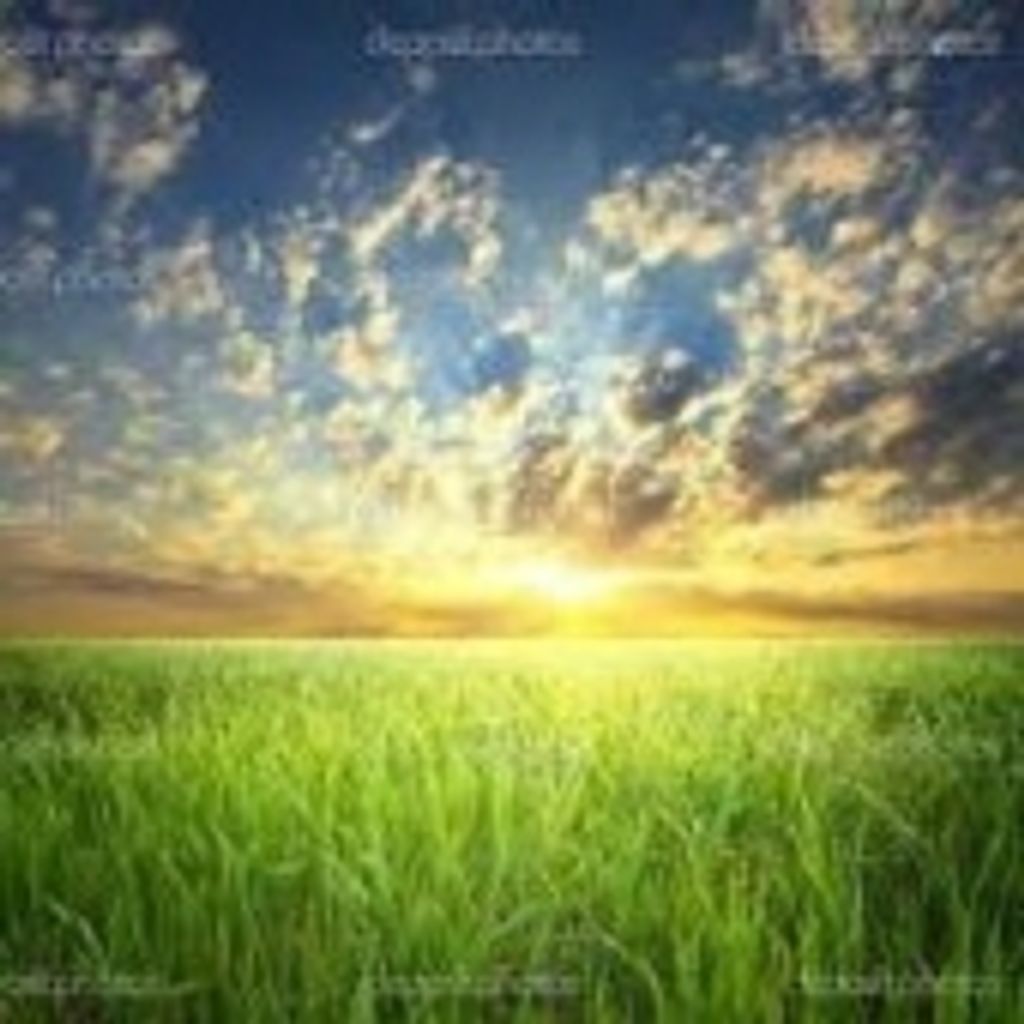 Michael Elbert Nixon